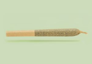 Experience Elevated Delight: Discover the Best Delta-8 Pre-Rolls at ElevateRight